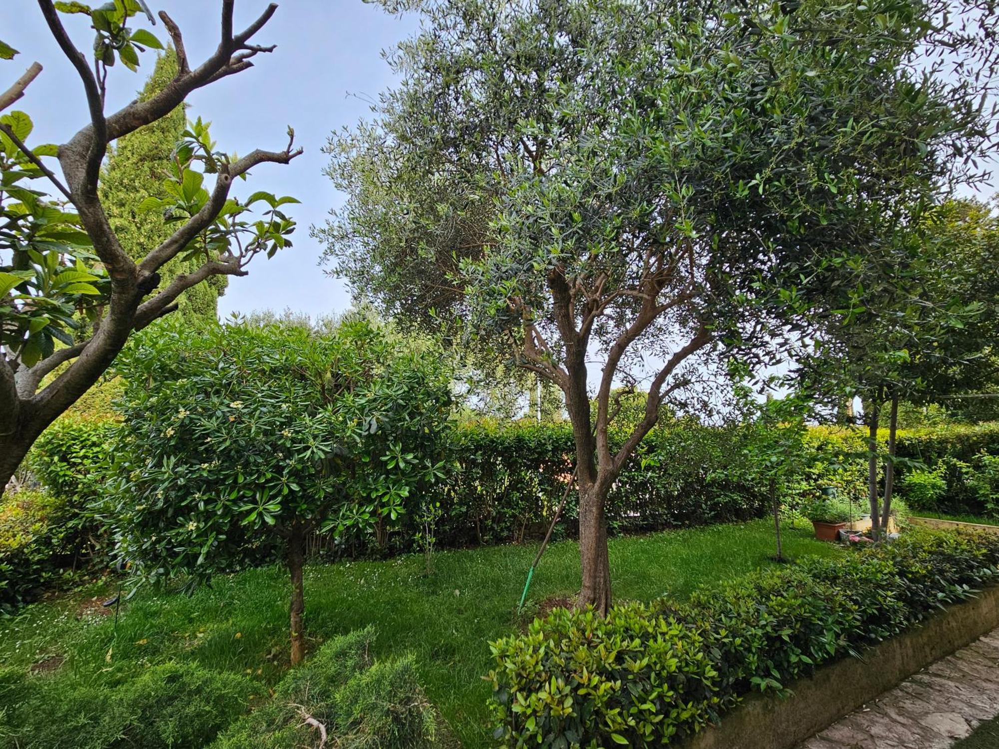 Apartman Zita - Heart Of Rovinj, For 2, Free Parking, 2min Center, 5min Walk